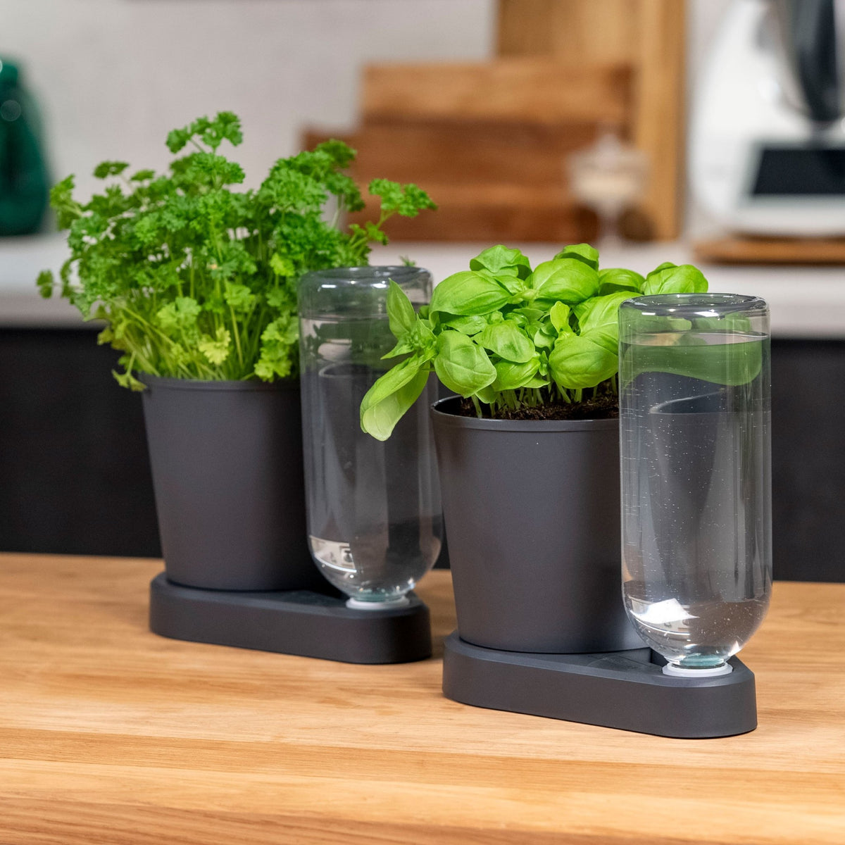 Herbimizer® | Kräutertopf mit automatischem Bewässerungssystem - Wundermix GmbH