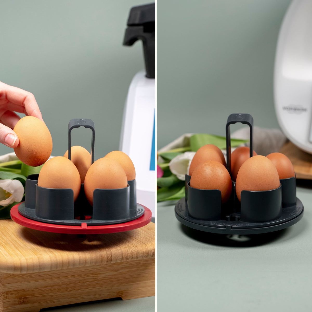 EggPro (ohne Träger) | Eierhalter - Wundermix GmbH